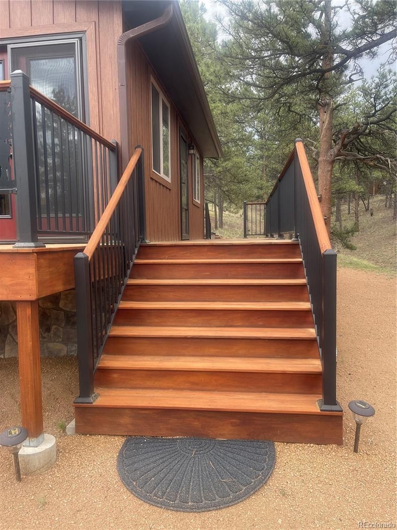 110 Wallace Dr, Florissant, CO 80816