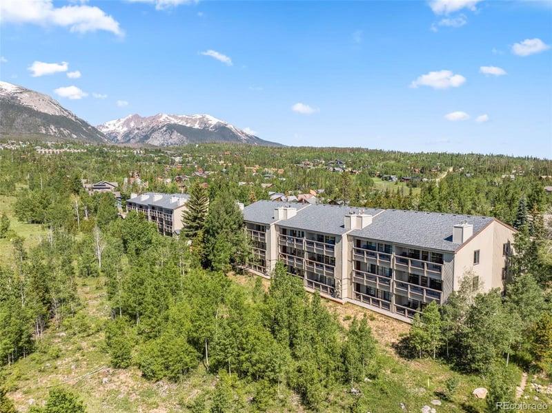 4624 Ryan Gulch Rd #4624, Silverthorne, CO 80498