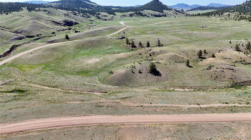 2174 Cahokia Rd, Hartsel, CO 80449