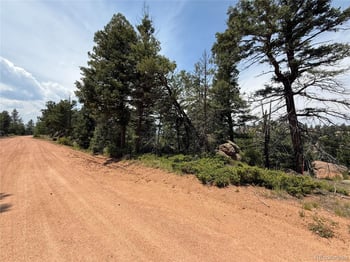 3546 Mountain Estates Rd, Florissant, CO 80816