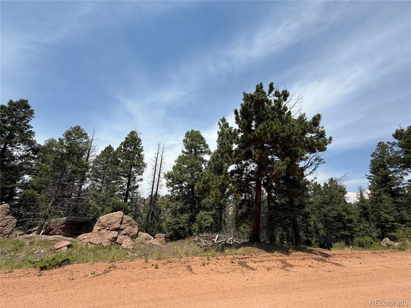 3546 Mountain Estates Rd, Florissant, CO 80816
