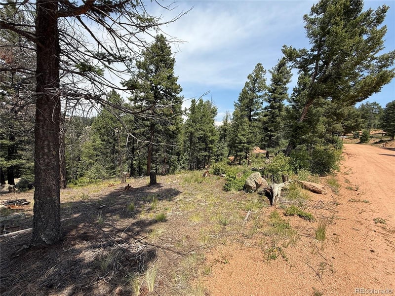 3546 Mountain Estates Rd, Florissant, CO 80816