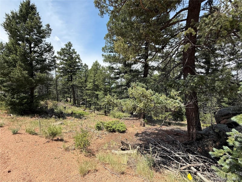3546 Mountain Estates Rd, Florissant, CO 80816