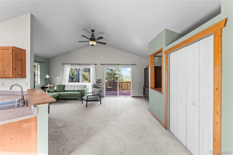 215 Southpark Rd, Florissant, CO 80816
