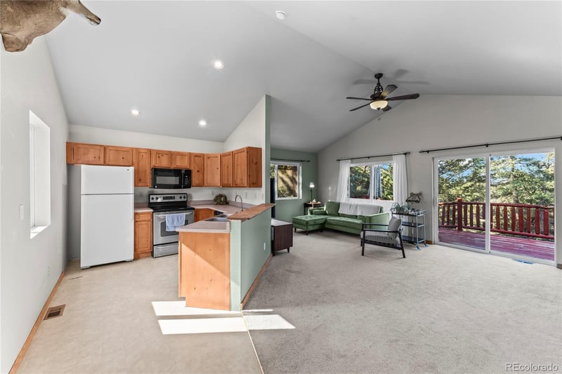 215 Southpark Rd, Florissant, CO 80816