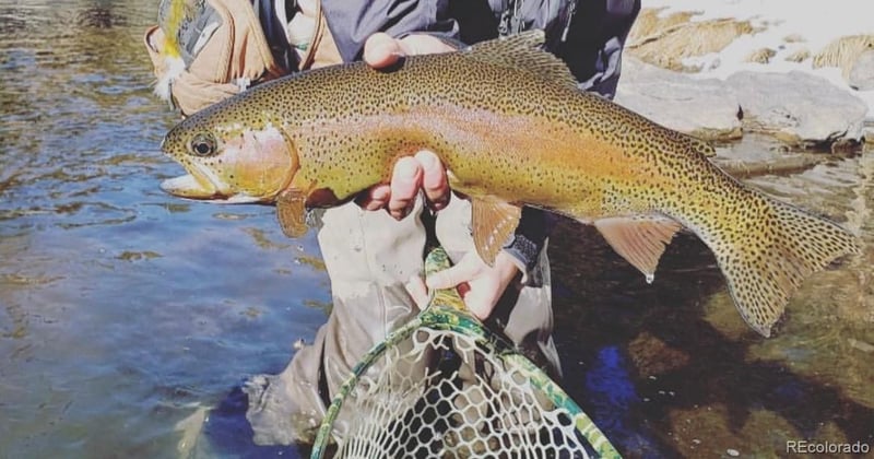 Tbd Highway 6, Edwards, CO 81632