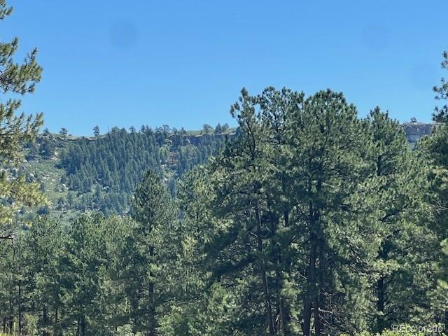 773 Copper Fox Pl, Larkspur, CO 80118