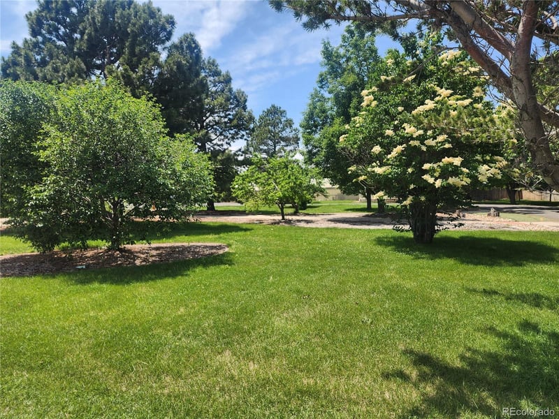 151 Potomac St, Aurora, CO 80011