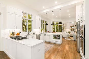 4517 Silver Cliff Ct, Castle Rock, CO 80108