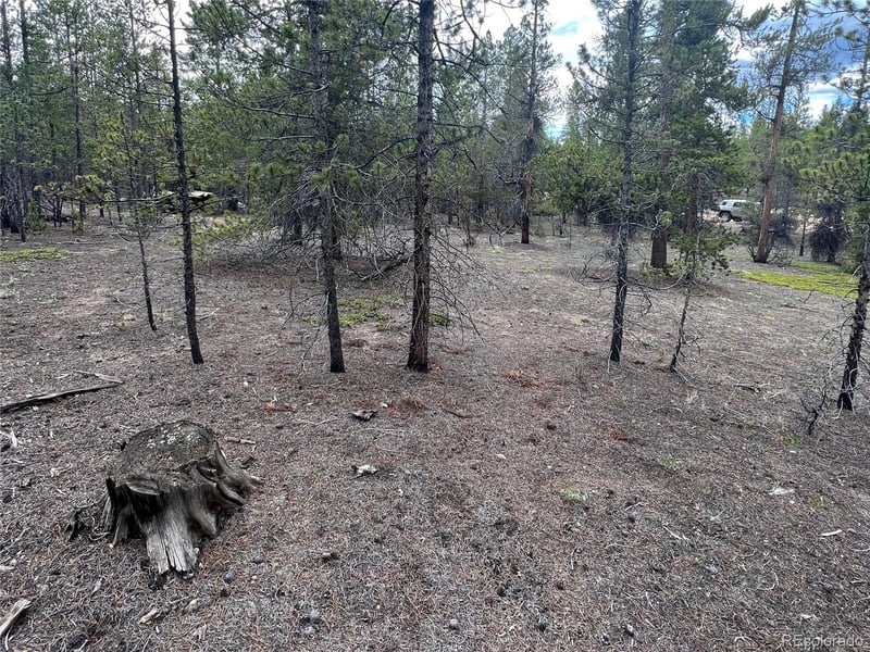 284 Fir Dr, Twin Lakes, CO 80461