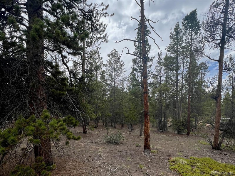 284 Fir Dr, Twin Lakes, CO 80461