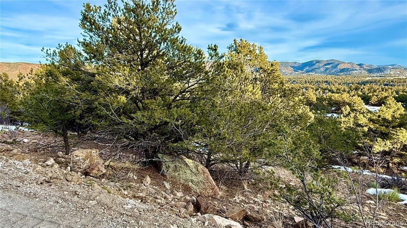 516 Durfee Cir, Westcliffe, CO 81252