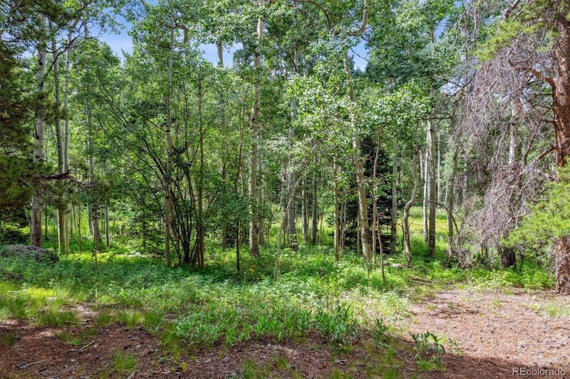 306 Olde Carter Lake Rd, Golden, CO 80403