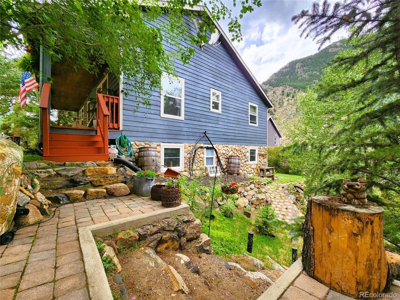 1113 Biddle St, Georgetown, CO 80444