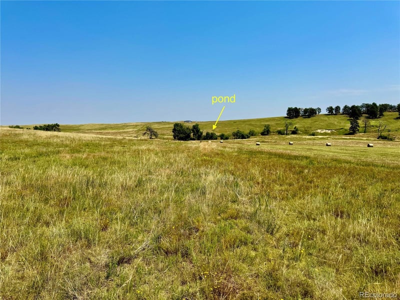 Wendling Trail Lot 48, Kiowa, CO 80117