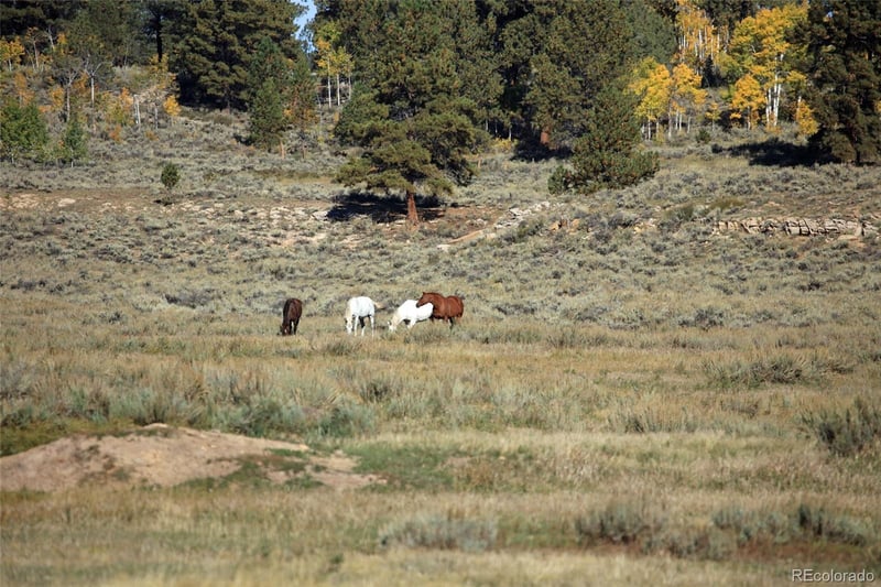 000 Divide Rd #Louie Pasture, Whitewater, CO 81527
