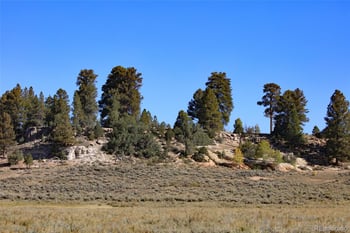 000 Divide Rd #Louie Pasture, Whitewater, CO 81527
