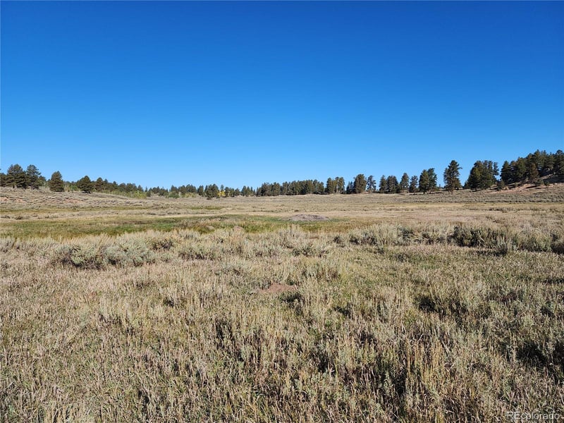000 Divide Rd #Louie Pasture, Whitewater, CO 81527