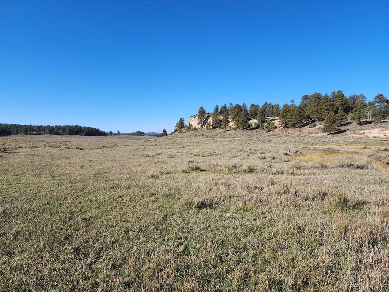 000 Divide Rd #Louie Pasture, Whitewater, CO 81527