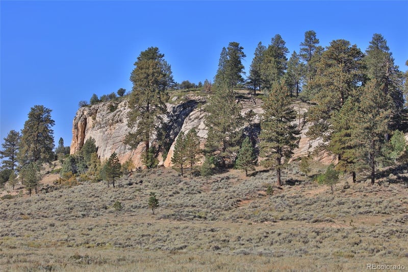 000 Divide Rd #Louie Pasture, Whitewater, CO 81527