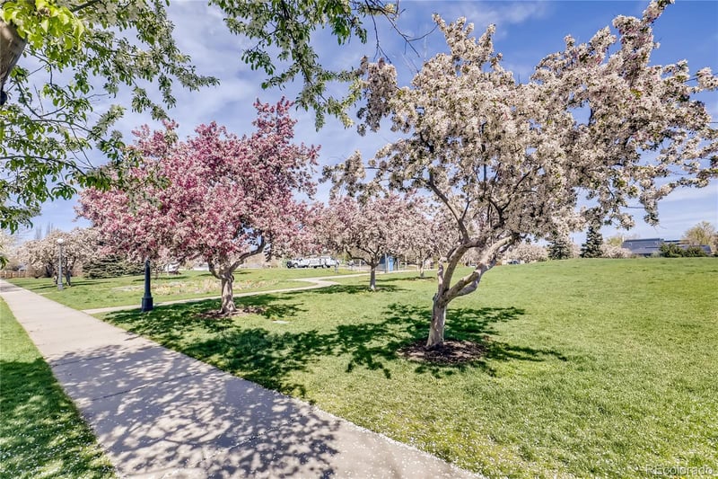 1038 Jasmine St, Denver, CO 80220