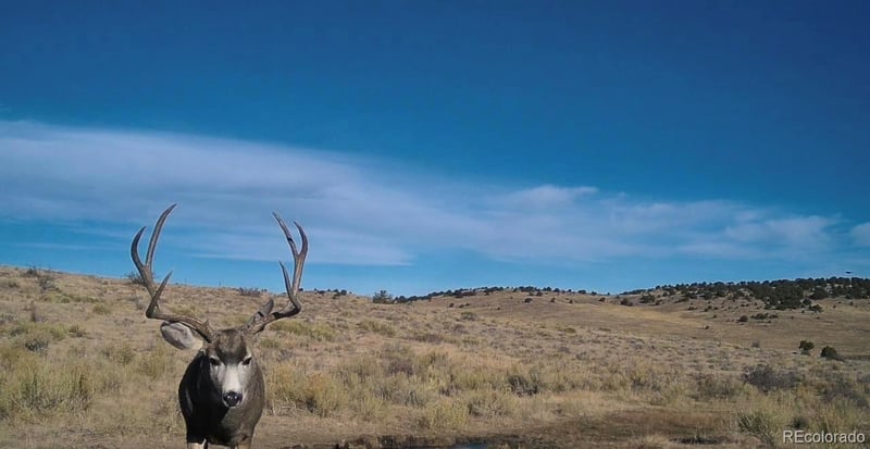 Airport Rd, Westcliffe, CO 81252