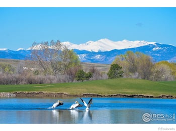 312 Whitney Bay, Windsor, CO 80550