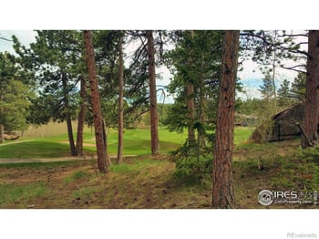520 Fox Acres Dr, Red Feather Lakes, CO 80545