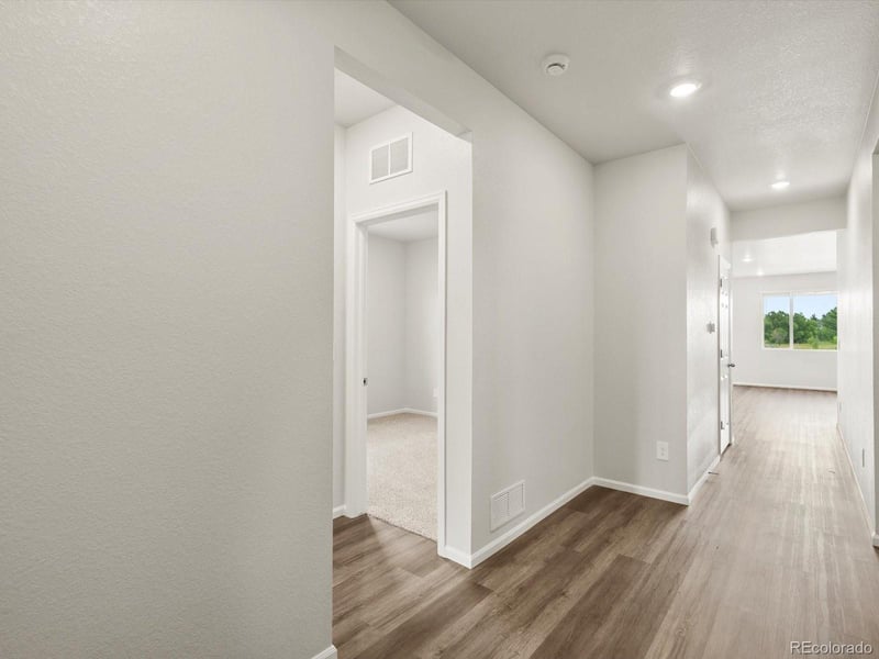 1597 Colorado River Dr, Windsor, CO 80550