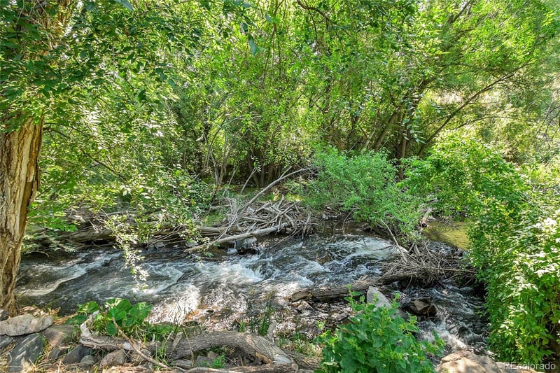 21938 Miller Ln, Idledale, CO 80453