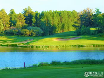 3 Fox Meadow Ln Lot 3, Red Feather Lakes, CO 80545