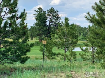 3 Fox Meadow Ln Lot 3, Red Feather Lakes, CO 80545