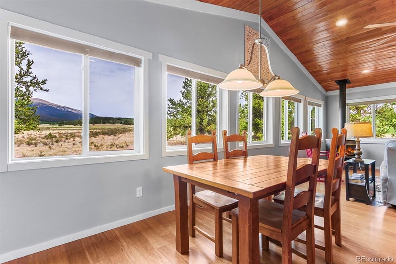 485 High Creek Rd, Fairplay, CO 80440
