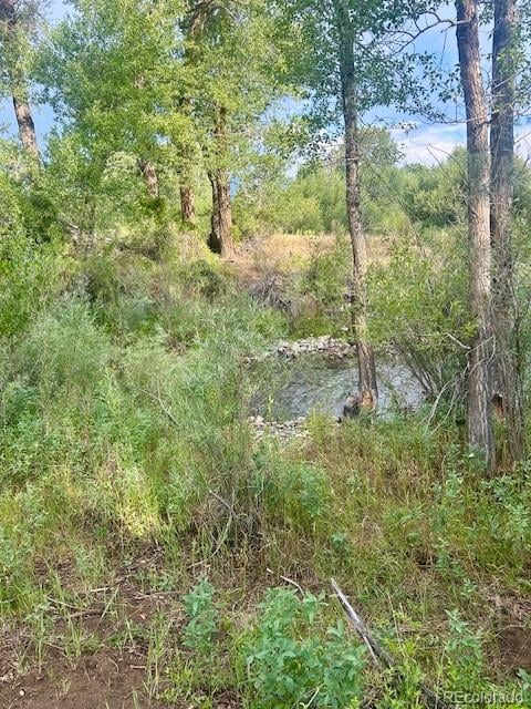 1122 Little River Ln, Poncha Springs, CO 81242