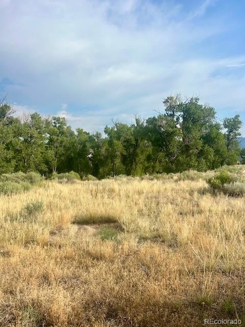 1122 Little River Ln, Poncha Springs, CO 81242