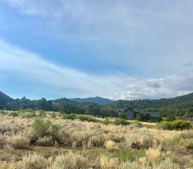 1122 Little River Ln, Poncha Springs, CO 81242