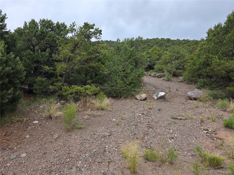 Joy Rd Lot 5045, San Luis, CO 81152