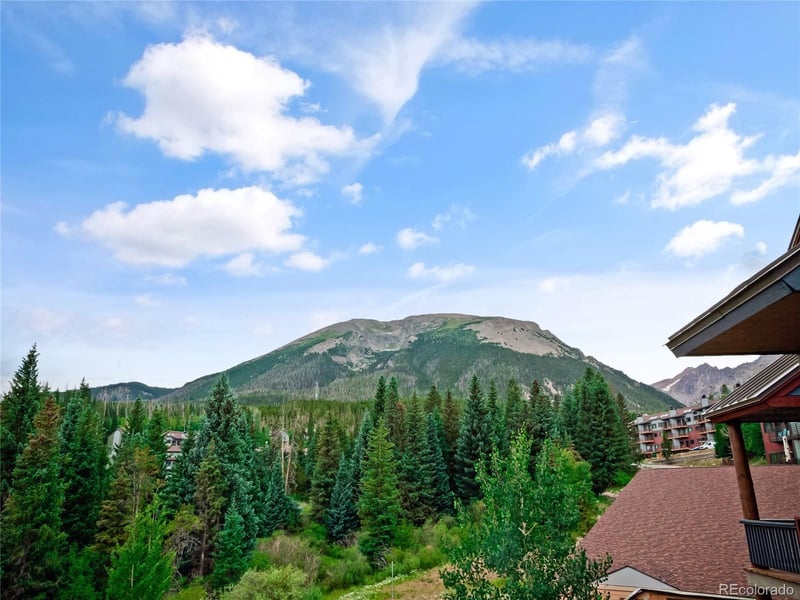 121 Cydney Ln #D, Silverthorne, CO 80498