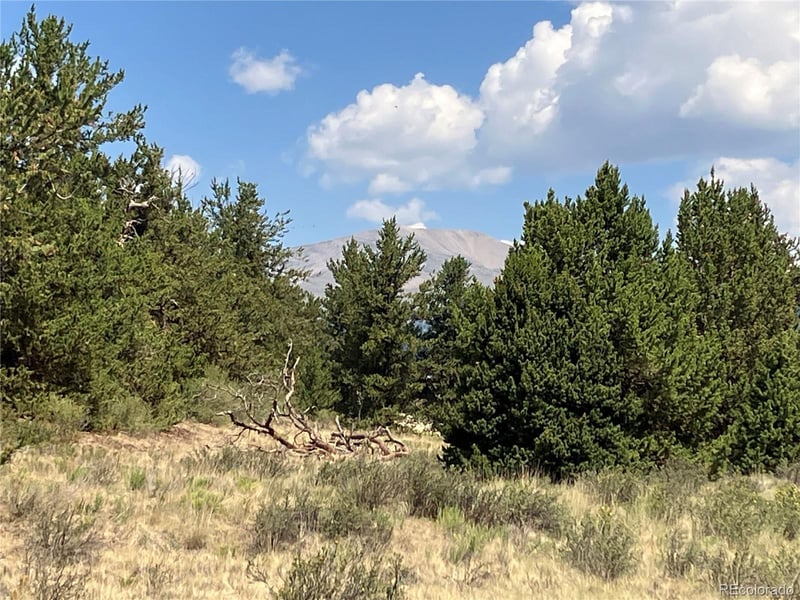 1344 Silverheels Rd, Fairplay, CO 80440