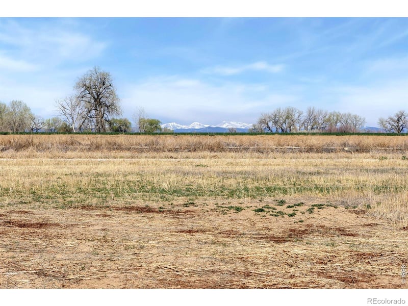 15135 Mattana Dr, Mead, CO 80542