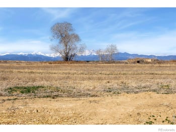 15135 Mattana Dr, Mead, CO 80542