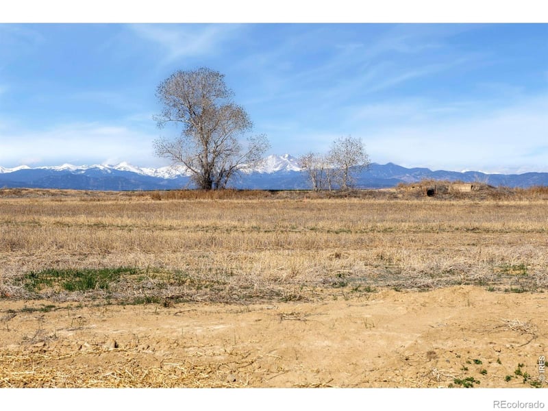 15135 Mattana Dr, Mead, CO 80542