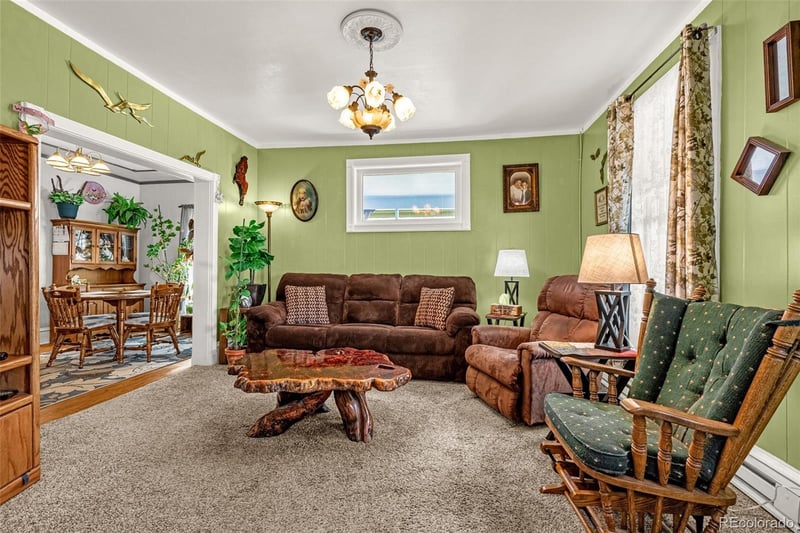 137 Eaton Ave, Cripple Creek, CO 80813