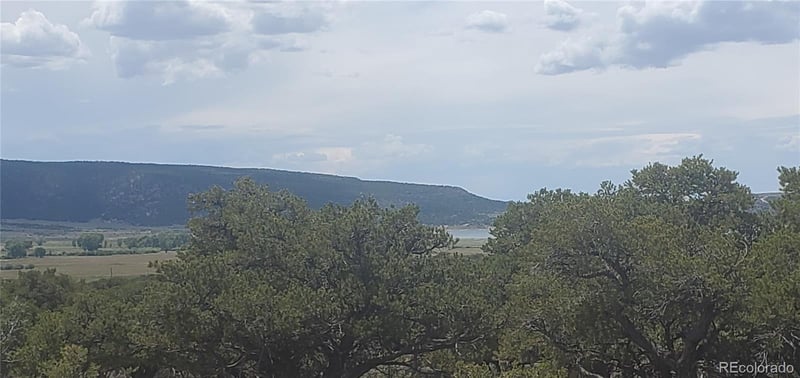 Lot3696 Branch Rd, Fort Garland, CO 81133