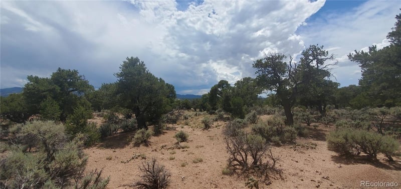 Lot3696 Branch Rd, Fort Garland, CO 81133