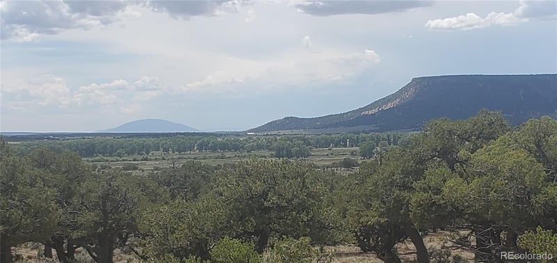 Lot3696 Branch Rd, Fort Garland, CO 81133