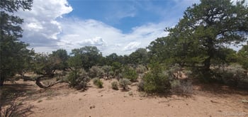 Lot3696 Branch Rd, Fort Garland, CO 81133