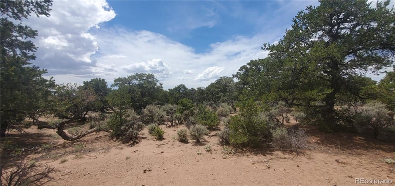 Lot3696 Branch Rd, Fort Garland, CO 81133