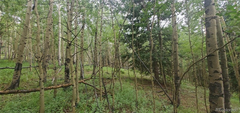 Lot 6882 Donna Rd, Fort Garland, CO 81133