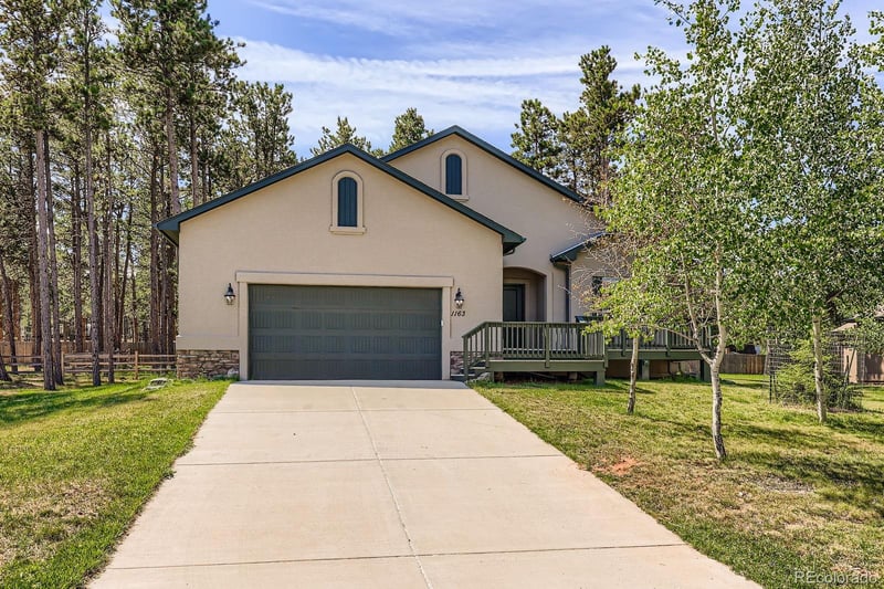 1163 Ptarmigan Dr, Woodland Park, CO 80863